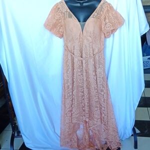 Unithorse Hi-low shimmering Lace texture puff sleeve